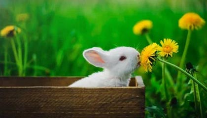 铜仁伴游，定制QQ：3494206190微信：act1322